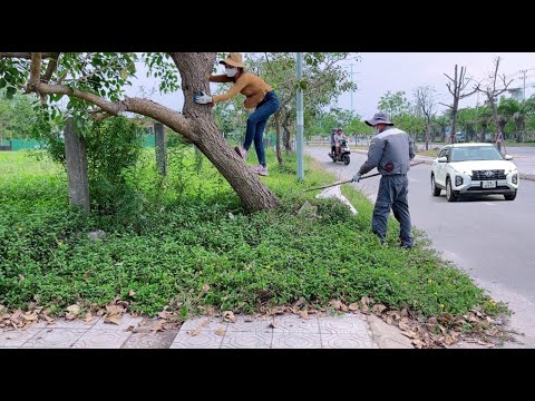 Видео: Восстановление тротуара, который был заброшен в течение 20 лет и не чистился.