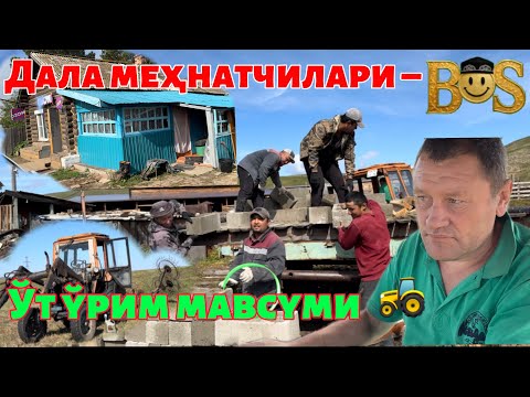 Видео: 🌾 «Ҳосил ўримини қандай ўтказяпмиз?»🚜#рекомендация #чорвачилик #ферма #узбекистан #қишлоқхўжалиги 