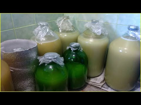 Видео: Секрет приготовления белого вина дома: от сока до брожения