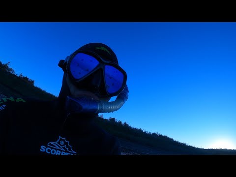 Видео: Подводные прогулки на Сахалине