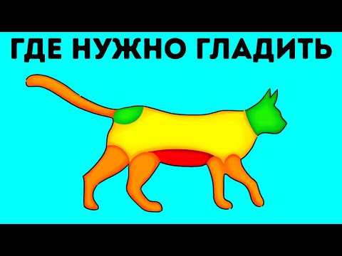 Видео: 100+ фактов, о которых мало кто слышал