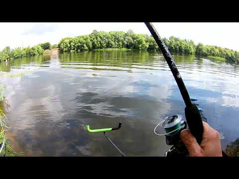 Видео: С фидером на реке