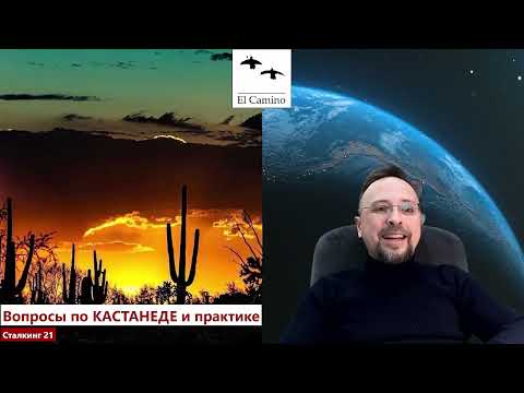 Видео: Просвет и Человеческая ФОРМА