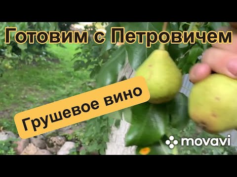 Видео: Учусь готовить с Петровичем «Грушевое вино»