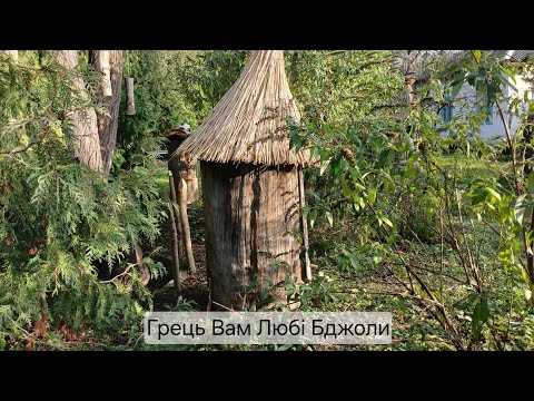 Видео: Грець Вам Любі Бджоли