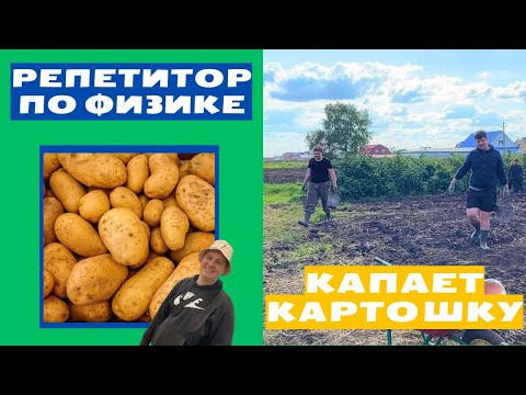 Видео: Репетитор по физике копает картошку в деревне......