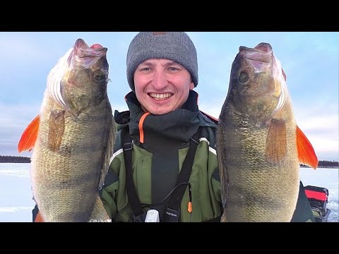 Видео: ПЕРВЫЙ ЛЕД! МЕДВЕДЬ В ТАЙГЕ - ПРИВЕЗЛИ ЗАЩИТУ. Якутия. Первый лед 2023-2024. Зимняя рыбалка.