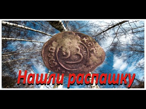 Видео: Нашли место о котором мечтали . Распашка удельных серебряных монет