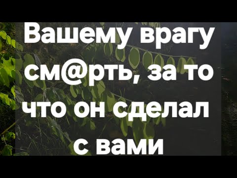 Видео: Злодеяния вашего врага и его расплата! #ПредсказаниЯведьмы