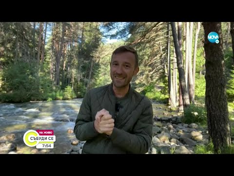 Видео: "Дотам и обратно": Разходка до загадъчния Маслен нос край Приморско - Събуди се... (19.06.2022)