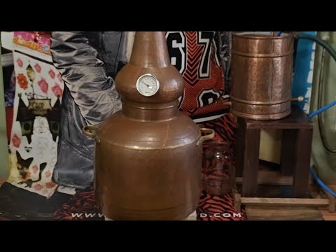Видео: Тритикале. Хлебное вино!! Полугар. Самогон из солода...