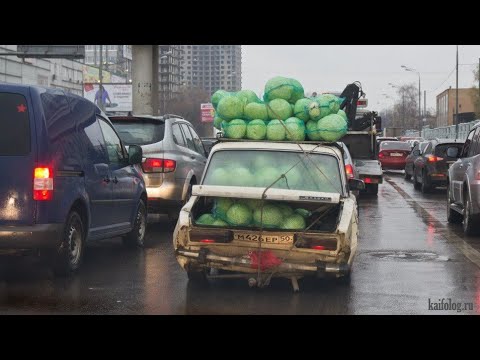 Видео: Дураки и дороги 2025 Царь дорог Их трудно понять, Авто моменты #154