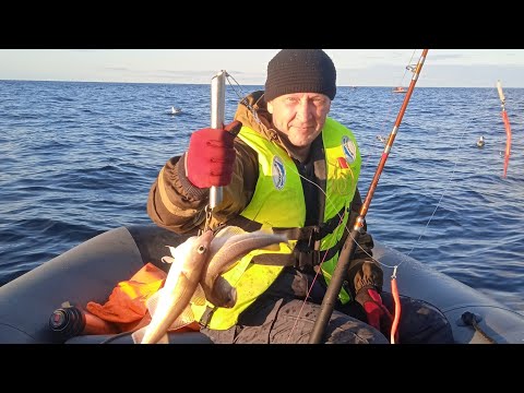 Видео: ТЕРИБЕРКА. СЕНТЯБРЬСКИЙ ВЫХОД ЗА ТРЕСКОЙ."TERIBERKA. SEPTEMBER EXIT FOR COD."