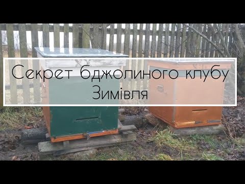 Видео: Моя пасіка 4. Секрет бджолиного клубу. Зимівля.