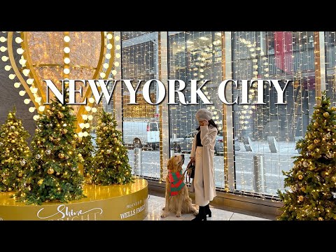 Видео: Провожу каникулы в Нью-Йорке ✨🗽 | Самые интересные занятия в ноябре с моей СОБАКОЙ