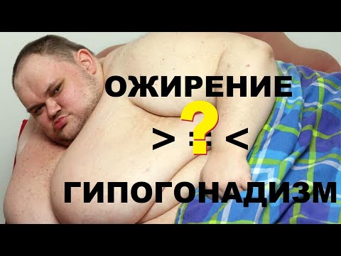 Видео: Тишова Ю.А. Лечим ожирение у мужчин. Можно ли ликвидировать ожирение без компенсации гипогонадизма?