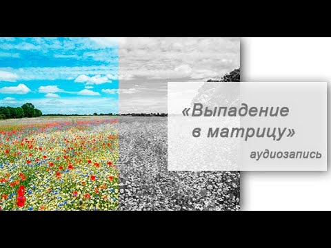 Видео: Выпадение в матрицу