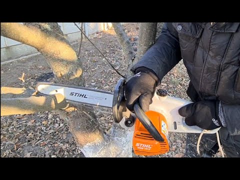 Видео: Обрезка плодовых деревьев на практике. Просто и доступно. Виктор Алипов.