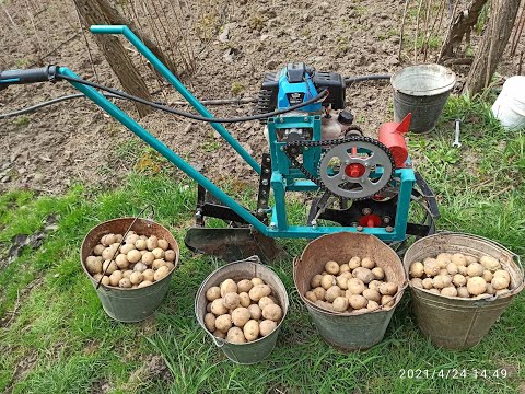 Видео: Посадка картофеля под окучник