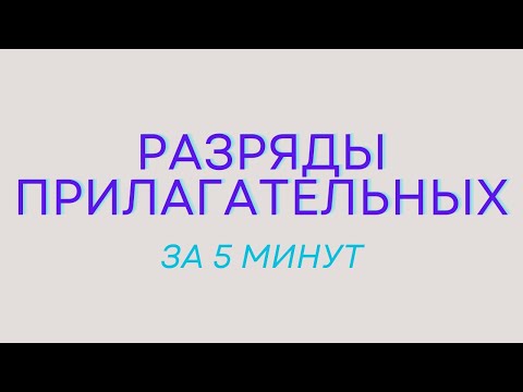 Видео: Разряды имён прилагательных. Качественные, относительные, притяжательные прилагательные.