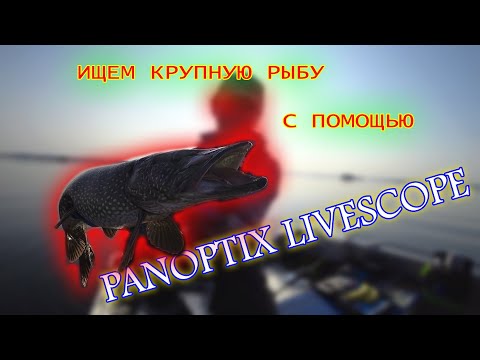 Видео: Поиск рыбы с помощью Panoptix LiveScope. Трофейная рыбалка в Финляндии