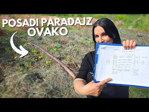 Видео: Спаси Помидор от Самых Больших Проблем - Сочетание Растений