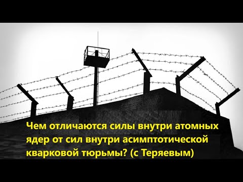 Видео: Чем отличаются силы внутри атомных ядер от сил внутри асимптотической кварковой тюрьмы? (с Теряевым)