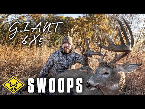 Видео: SWOOPS | GIANT 6X5, Повесьте и охотьтесь в октябрьское затишье...