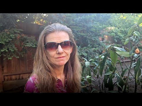 Видео: Traveling to Russia now? Через что лететь? Муж мне спел. Мушмулу съели птицы.