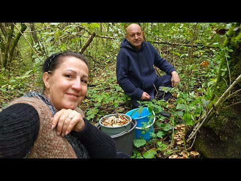 Видео: ✨️Любишь лопать... Люби и топать✨️Ай-да денёк!✨️