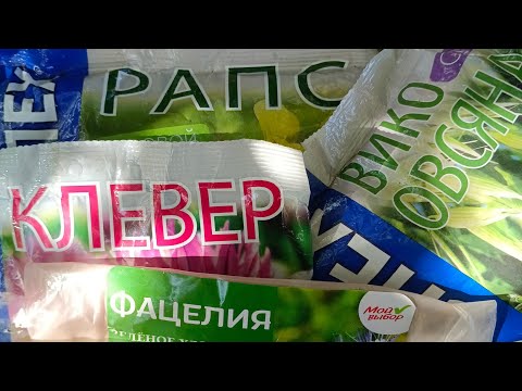 Видео: Сидерат өсіру. Сидерат түрлері. Топырақ тыңайту.