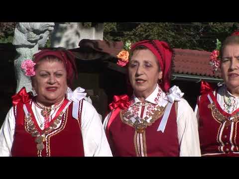 Видео: Клуб за автентичен фолклор  "Васила Вълчева", с.Калипетрово- Йорданкината майчица