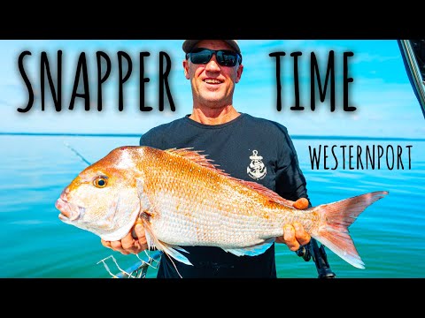 Видео: Ловля люциана в заливе Вестернпорт