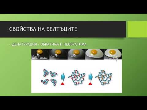 Видео: БЕЛТЪЦИ