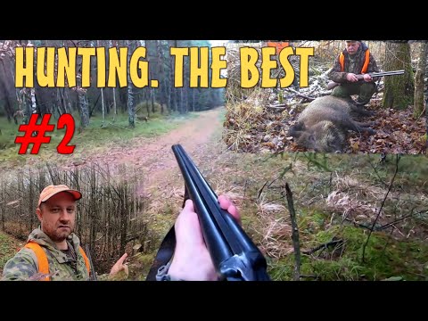 Видео: HUNTING. The Best. Охота на лося, кабана и косулю. Лучшее. #02