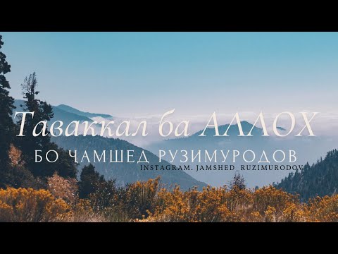 Видео: Таваккал ба АЛЛОҲ кун