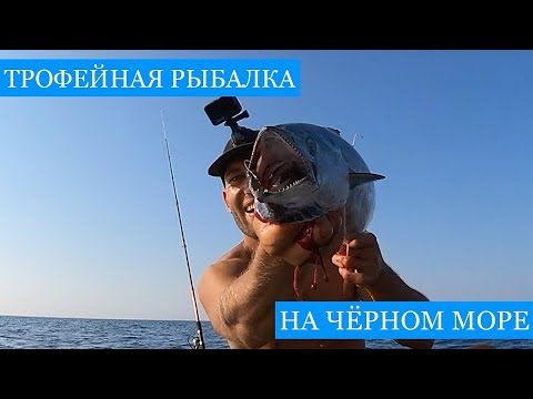 Видео: В погоне за ПЕЛАМИДОЙ!! Спортивная рыбалка на черноморского трофейного хищника! Нырялка за рапанами!