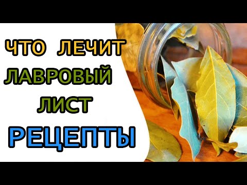 Видео: Лавровый лист лечит многие болезни-Рецепты из лаврушки от недугов,для здоровья
