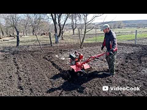 Видео: Мотоблок Forte 9 к/с # весняна  культивація