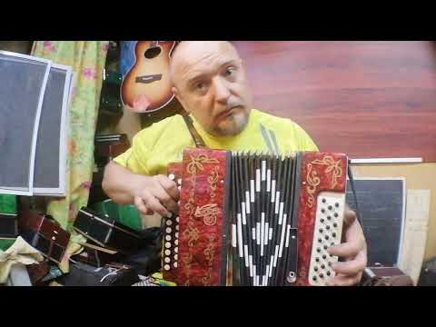 Видео: Гармонь очень просто! Почему Ам, Дм вместо 1,7,17 и т д.!