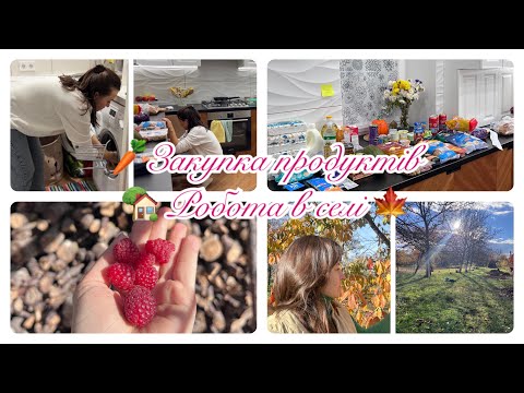 Видео: ✅ЗАКУПКА АТБ🏡РОБОТА В ОСІННЬОМУ САДКУ🍁