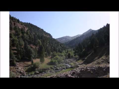 Видео: 2 - Odina Hoshimov (Одина Хошимов) - Ba man ovard jome beqarori - tajik song