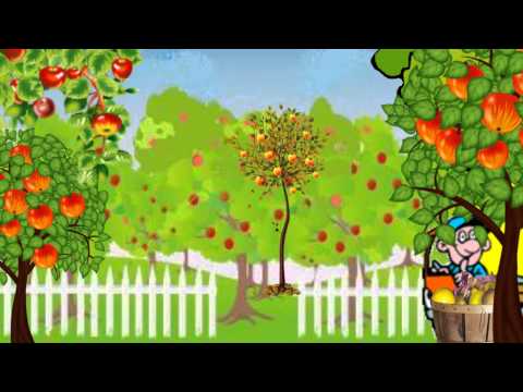 Видео: Родни плодове