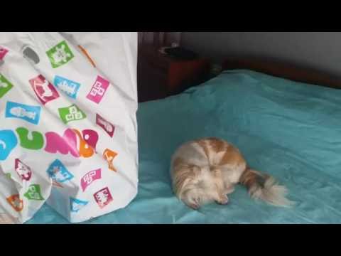 Видео: Jumbo haul /Джъмбо покупки