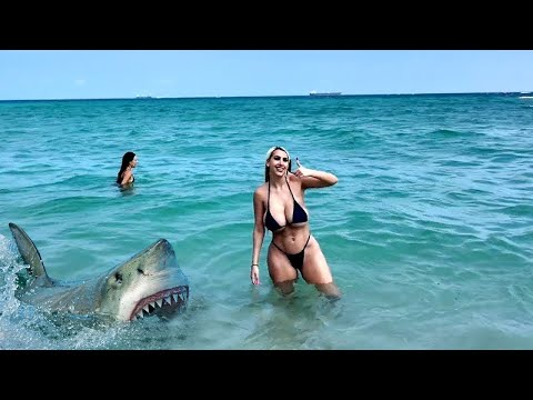 Видео: 🔥 Вы Точно не Ожидали Увидеть ТАКОЕ! Случаи С Животными 1 на Миллион Снятые на Камеру