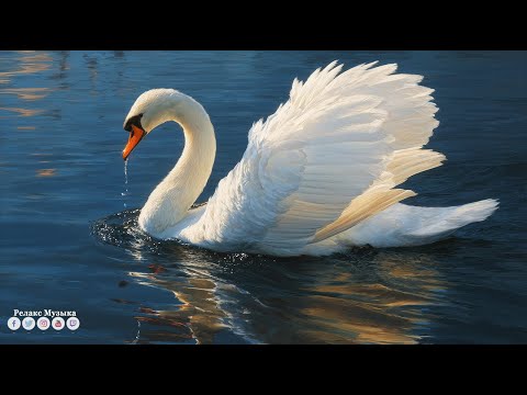 Видео: Лечебная музыка для сердца и сосудов! До слез красивая мелодия! Слушайте и прочувствуйте эти мелоди