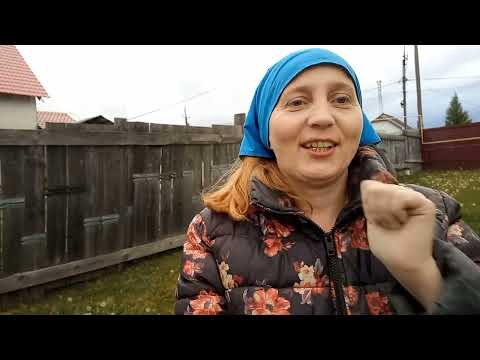 Видео: Козочка породы гулаби. Мечты сбываются!