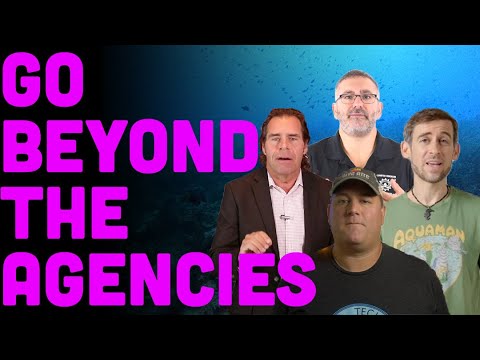 Видео: Три курса, которые должен пройти каждый дайвер