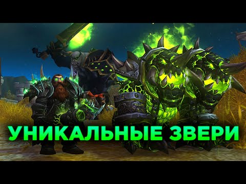 Видео: Уникальные Звери для Охотника в WoW TBC Classic!