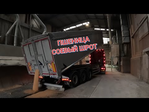 Видео: НОВАЯ ЗАГРУЗКА, ВЫГРУЗКА, ИТАЛИЯ. Залив "Венецианская лагуна", контроль на Австрийской границе.